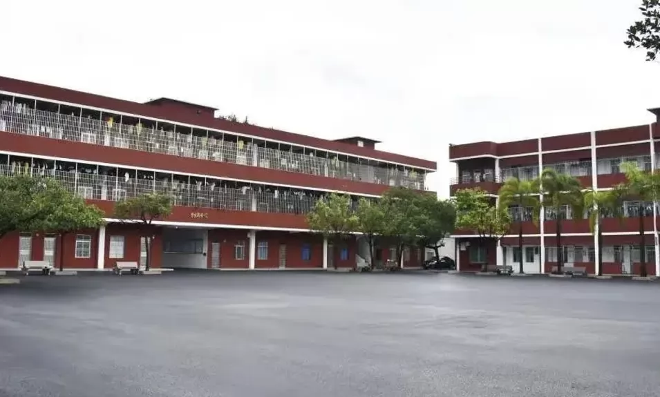 阳江市阳东新鸡山学校收费标准(学费+住宿费)及学校简介