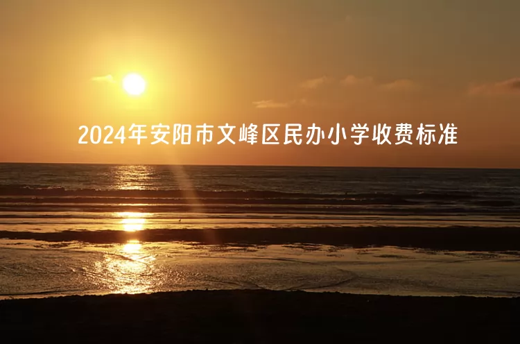 2024年安阳市文峰区民办小学收费标准一览