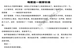 母爱是一根穿针线阅读理解题及答案(阅读答案四)