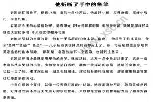 《他折断了手中的鱼竿》阅读理解题及答案(阅读答案)