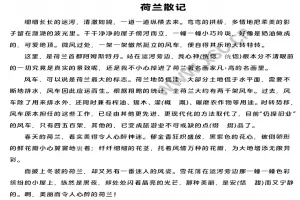 荷兰散记阅读理解题及答案(阅读答案)