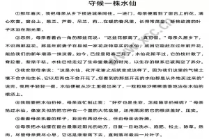 守候一株水仙阅读理解题及答案(阅读答案)