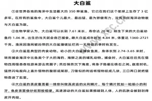 大白鲨阅读理解题及答案(阅读答案三)