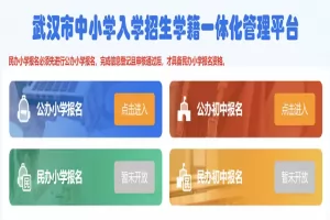 2025年武汉市中小学入学招生学籍一体化管理平台登录入口