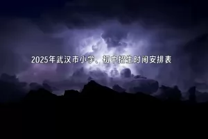 2025年武汉市小学、初中招生时间安排表(附流程)