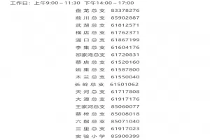 2025年武汉市黄陂区小学招生网上报名时间、方式及所需材料